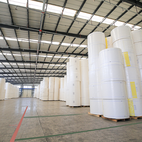 Cotton Pulp
